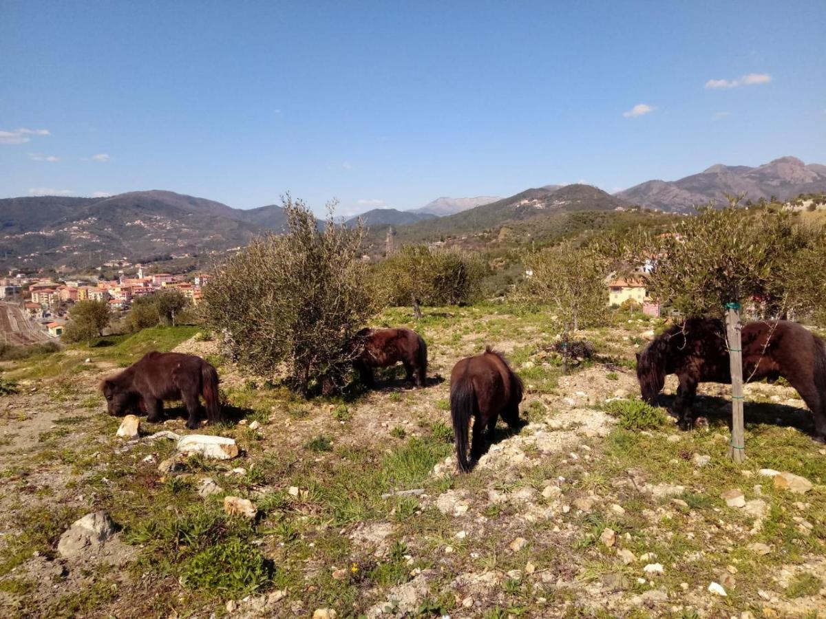 Appartamento Taggiasca A Riva Trigoso Sestri Levante Dış mekan fotoğraf